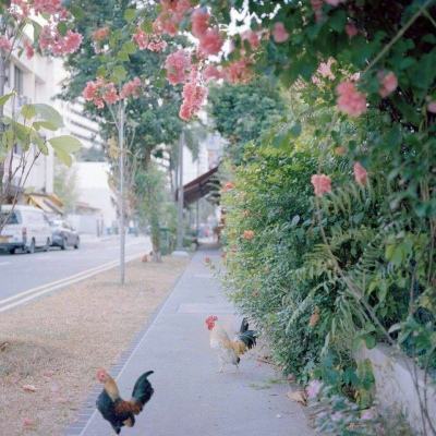 金年会app下载官网官方入口