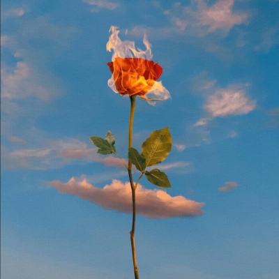 皇冠app下载官网下载