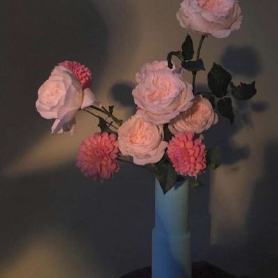 万博max手机登录版