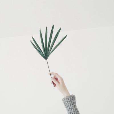 天天中彩票手机app下载